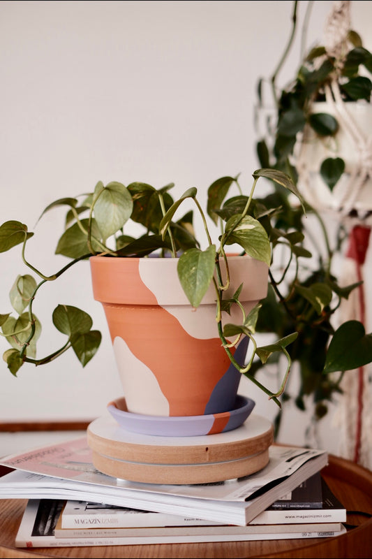 Terracotta Konik Saksı+Tabak • Lilanın Tonları