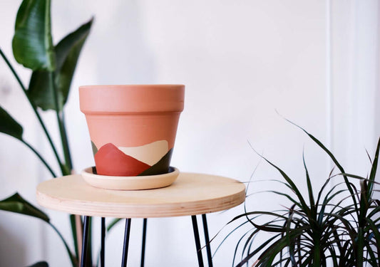 Terracotta Konik Saksı+Tabak • Abstract No.02