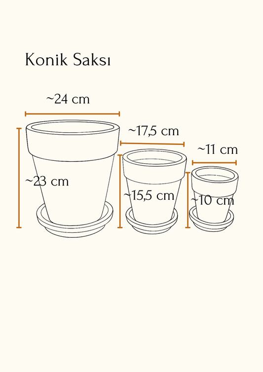 Terracotta Konik Saksı+Tabak • Abstract No.03