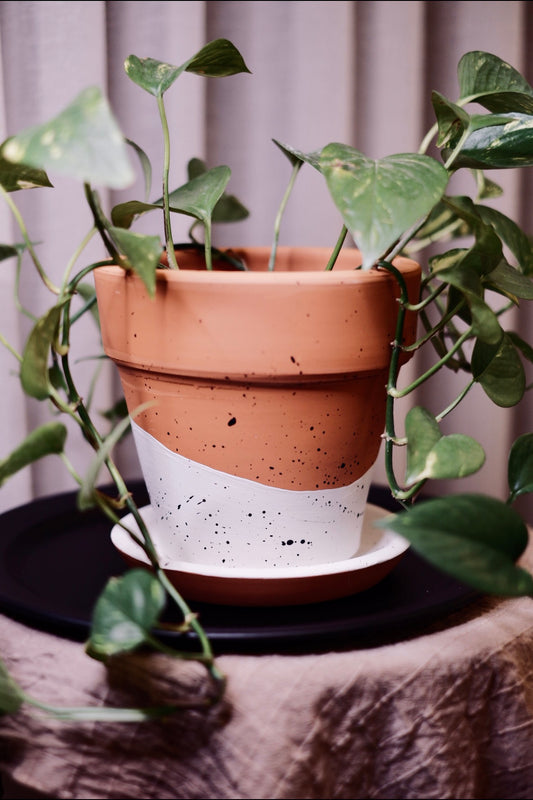 Konischer Blumentopf + Teller aus Terrakotta • Schwarz-Weiß gepunktet