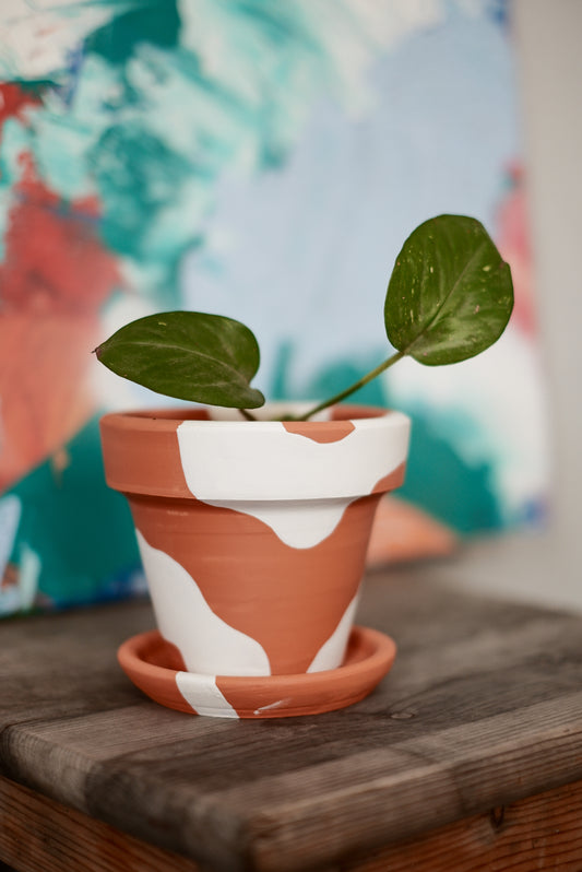 Konischer Terrakotta-Blumentopf + Teller • Bohemian White