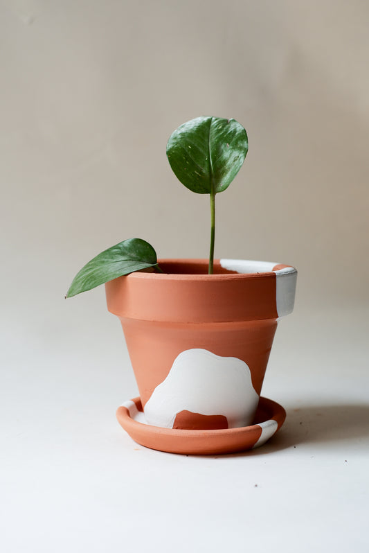 Konischer Terrakotta-Blumentopf + Teller • Bohemian White