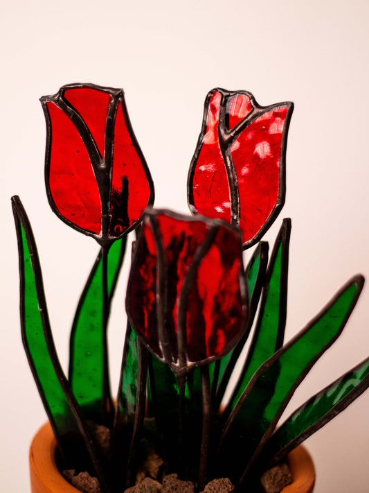 Tulipa - Vitray Çiçek