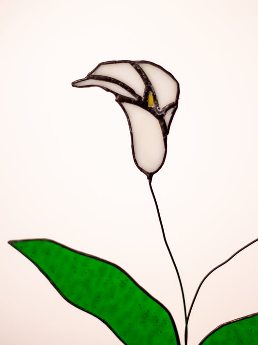 Calla - Vitray Çiçek