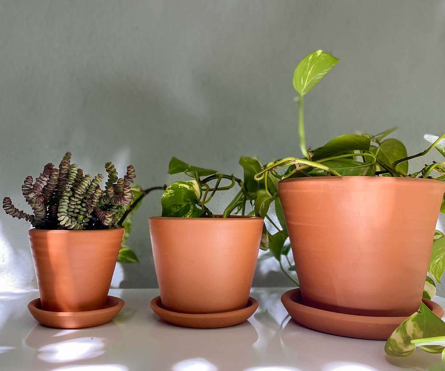 Terracotta Savana Saksı+Tabak • Siyah Beyaz Benekli