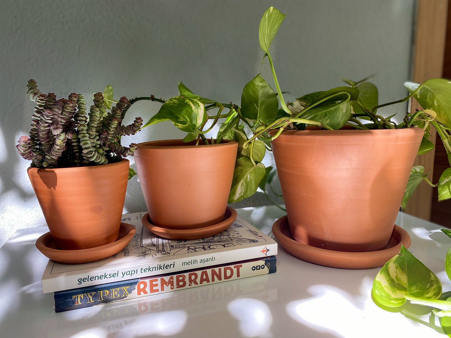 Terracotta Savana Saksı+Tabak • Pembe Beyaz
