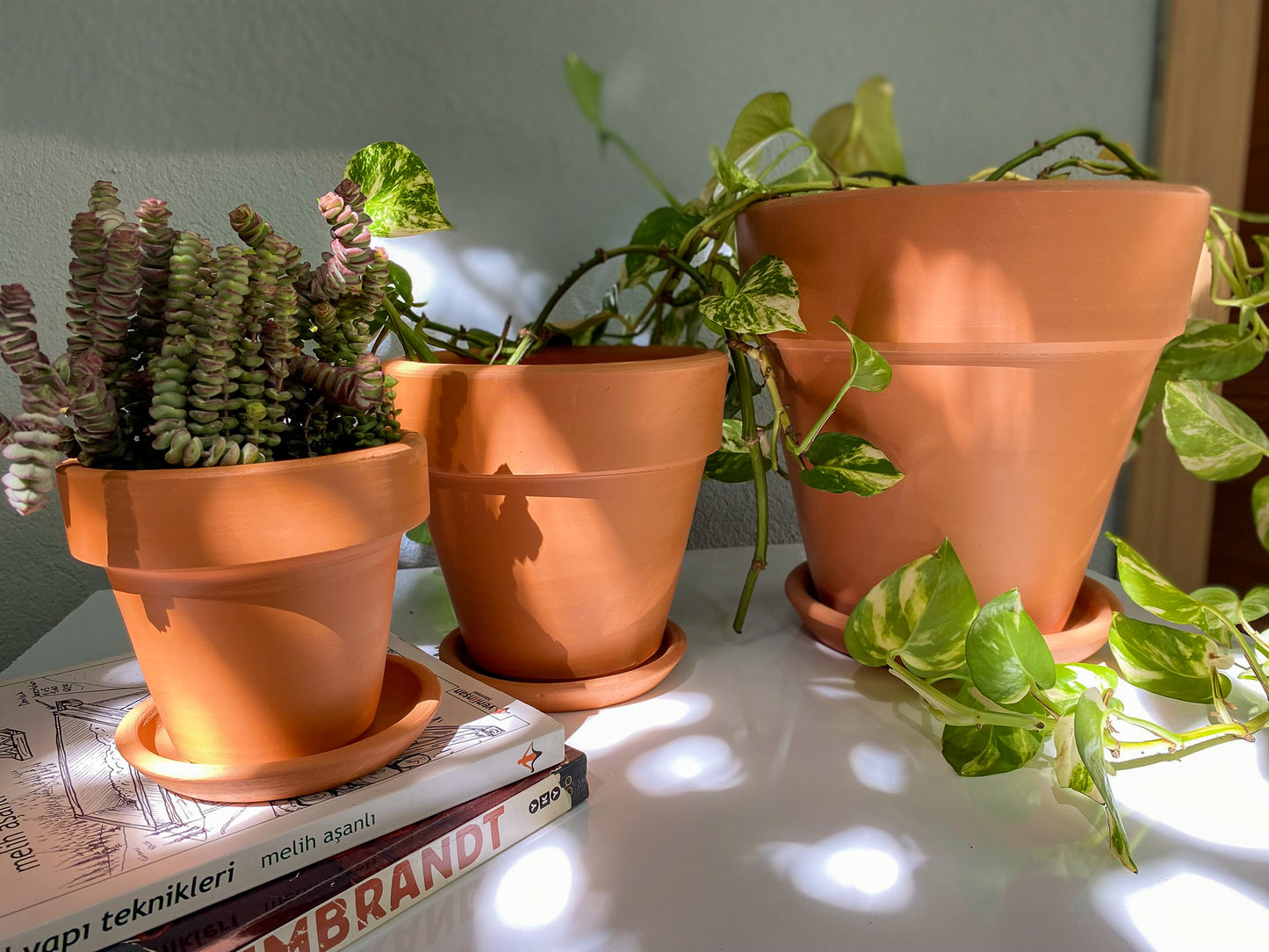 Terracotta Konik Saksı+Tabak • Bohem Beyaz