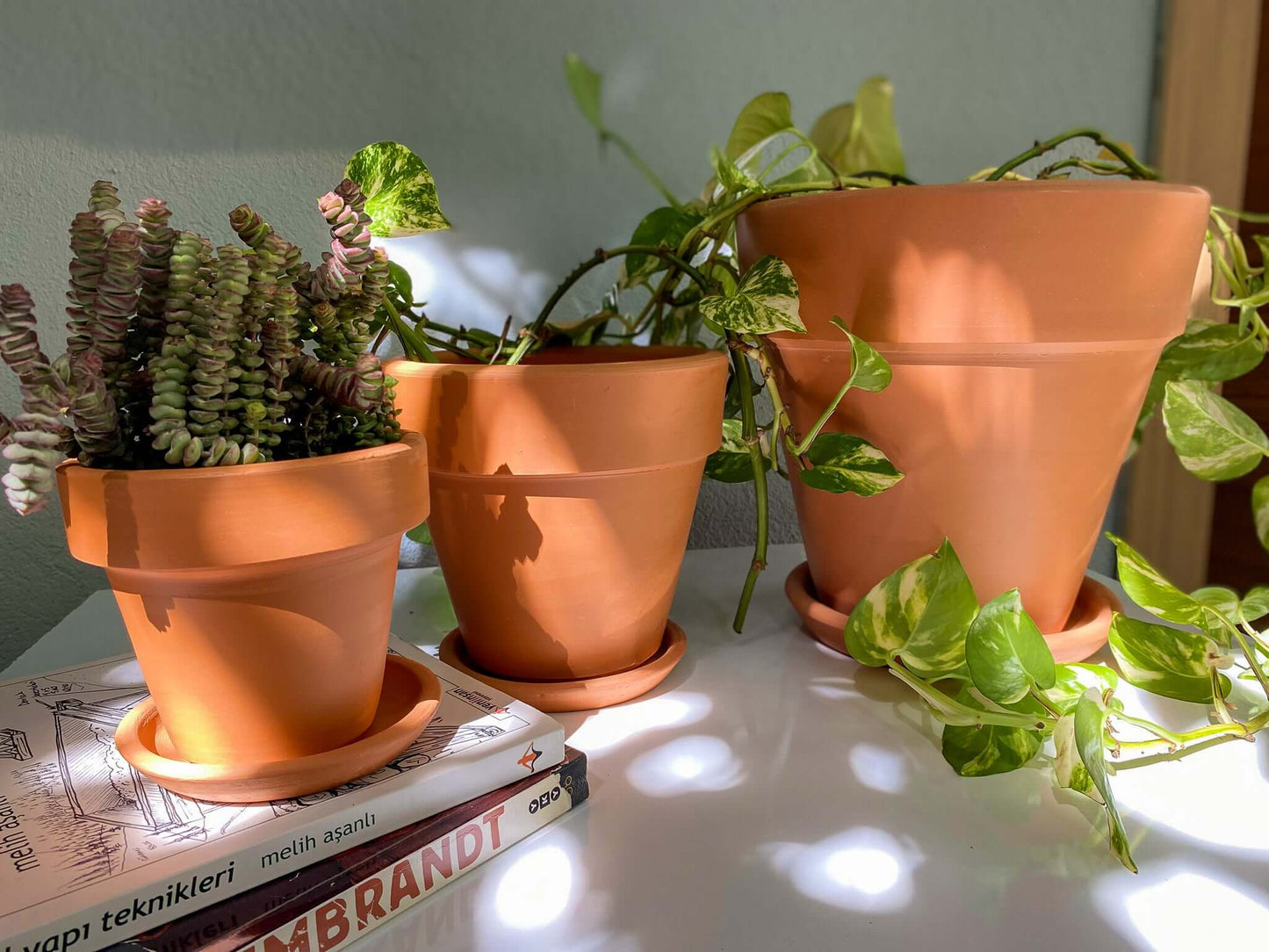 Terracotta Konik Saksı+Tabak • Abstract No.03