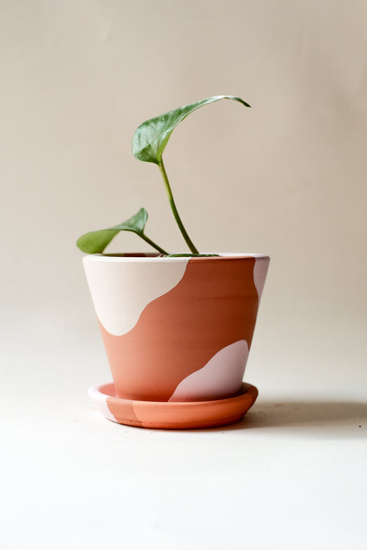 Terrakotta Savana Blumentopf+Teller • Rosa Weiß