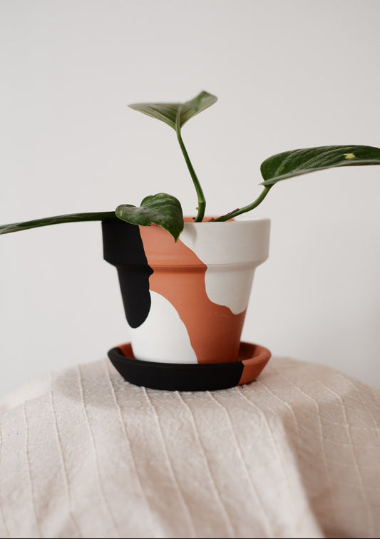 Terracotta Konik Saksı+Tabak • Siyah Beyaz Abstract