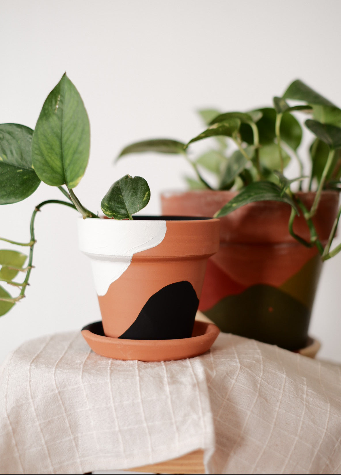Terracotta Konik Saksı+Tabak • Siyah Beyaz Abstract