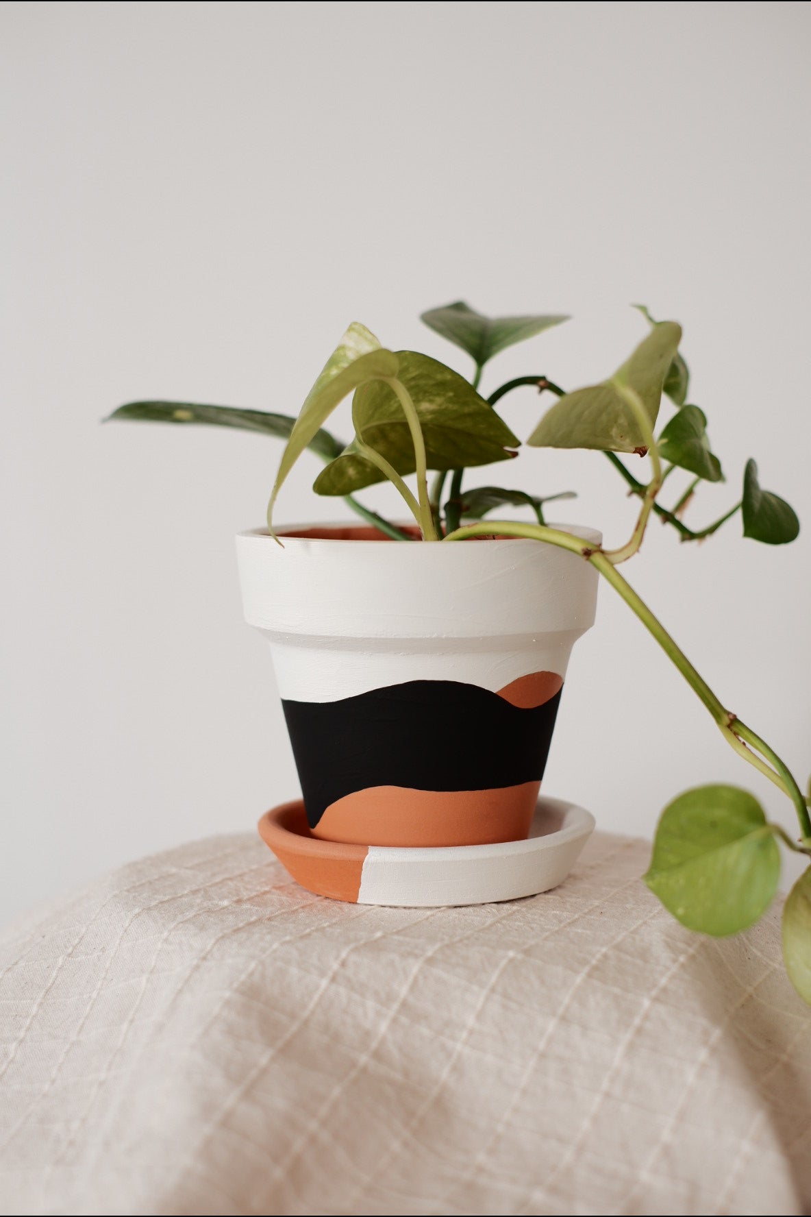 Terracotta Konik Saksı+Tabak • Siyah Beyaz Waves