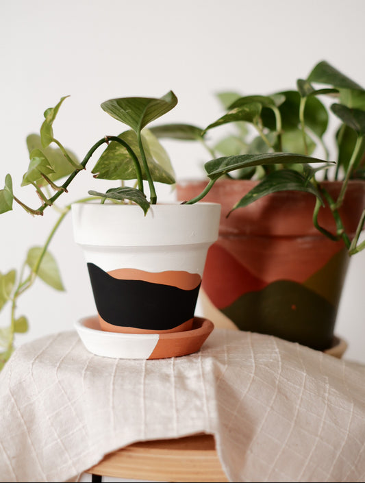 Terracotta Konik Saksı+Tabak • Siyah Beyaz Waves