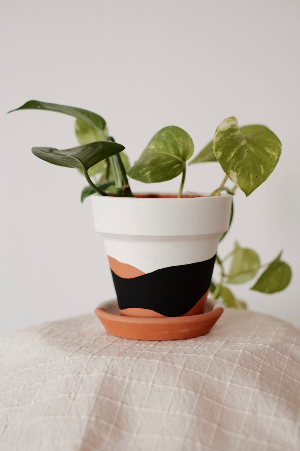 Terracotta Konik Saksı+Tabak • Siyah Beyaz Waves