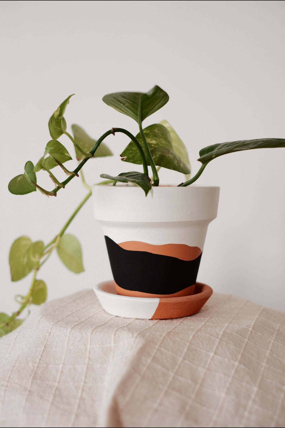 Terracotta Konik Saksı+Tabak • Siyah Beyaz Waves
