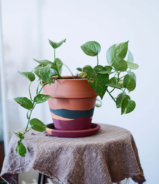 Konischer Blumentopf + Teller aus Terrakotta • Wellen