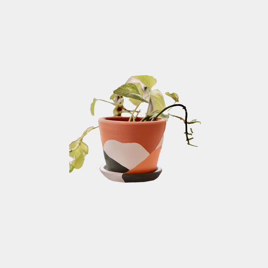 Terrakotta Savana Blumentopf+Teller • Abstrakt Grün Gelb
