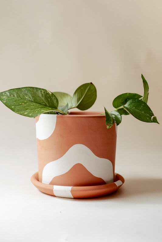 Terracotta Silindir Saksı+Tabak • Bohem Beyaz