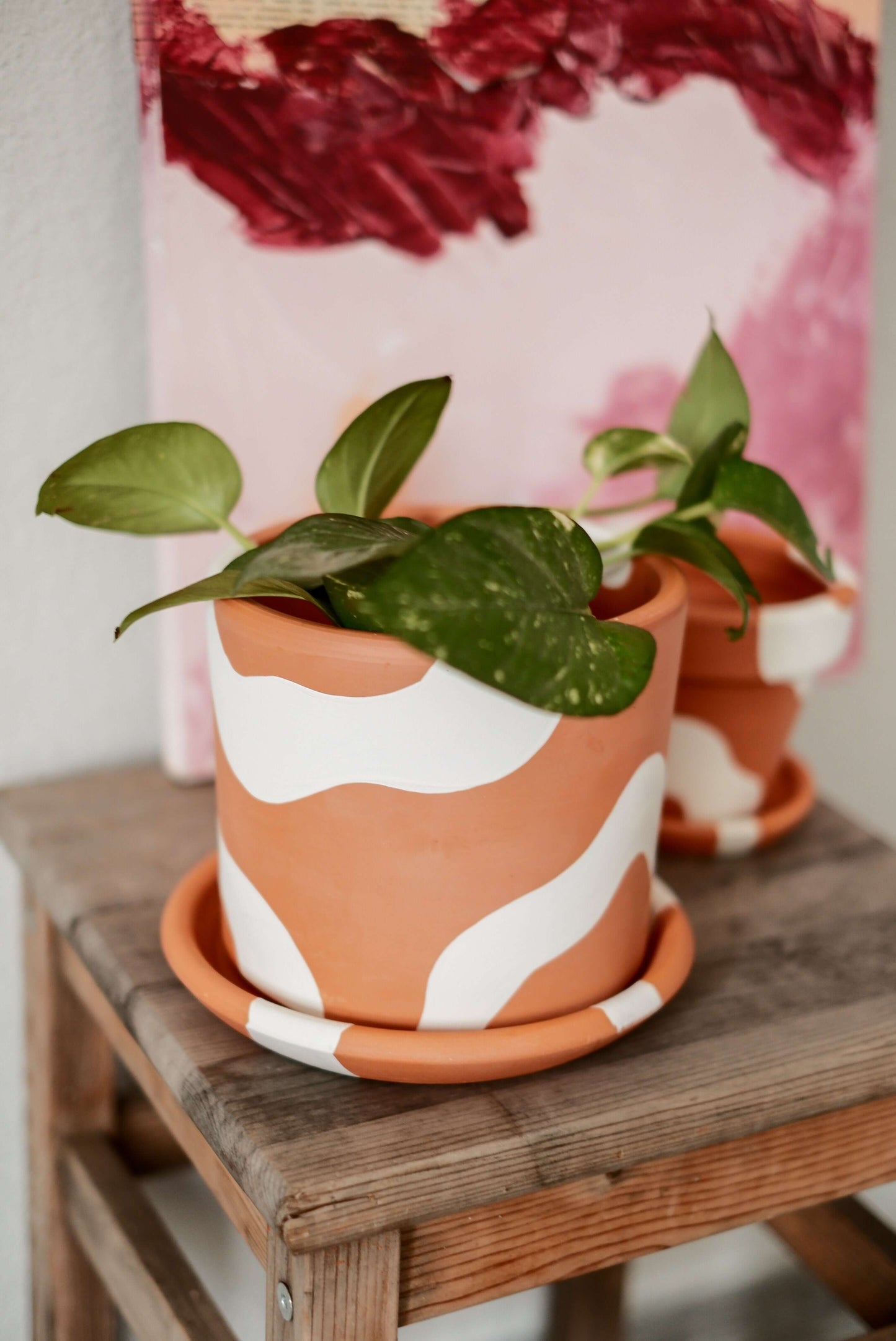 Terracotta Silindir Saksı+Tabak • Bohem Beyaz
