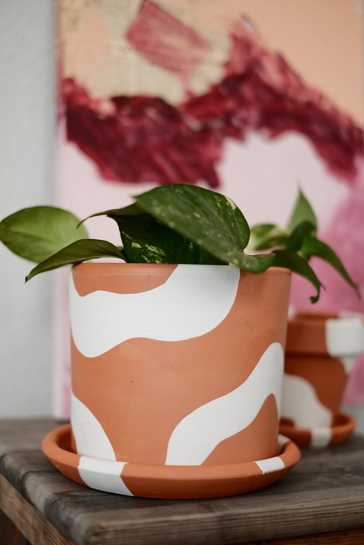Terracotta Silindir Saksı+Tabak • Bohem Beyaz