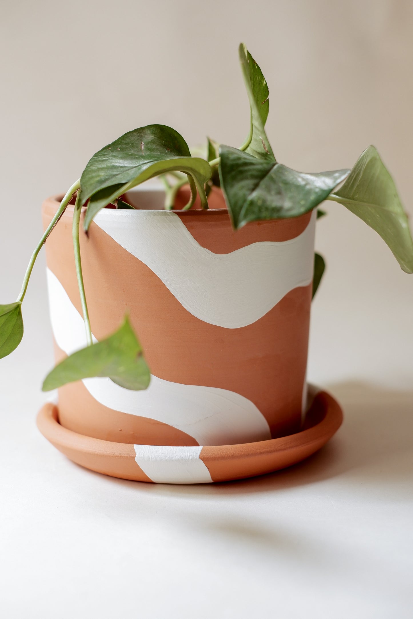 Terracotta Silindir Saksı+Tabak • Bohem Beyaz