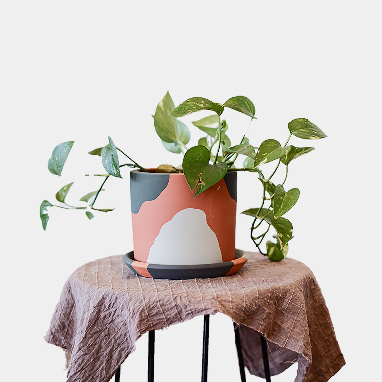 Terracotta Silindir Saksı+Tabak • Yeşilin Tonları
