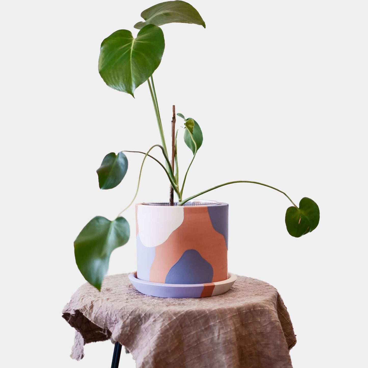 Terracotta Silindir Saksı+Tabak • Lilanın Tonları