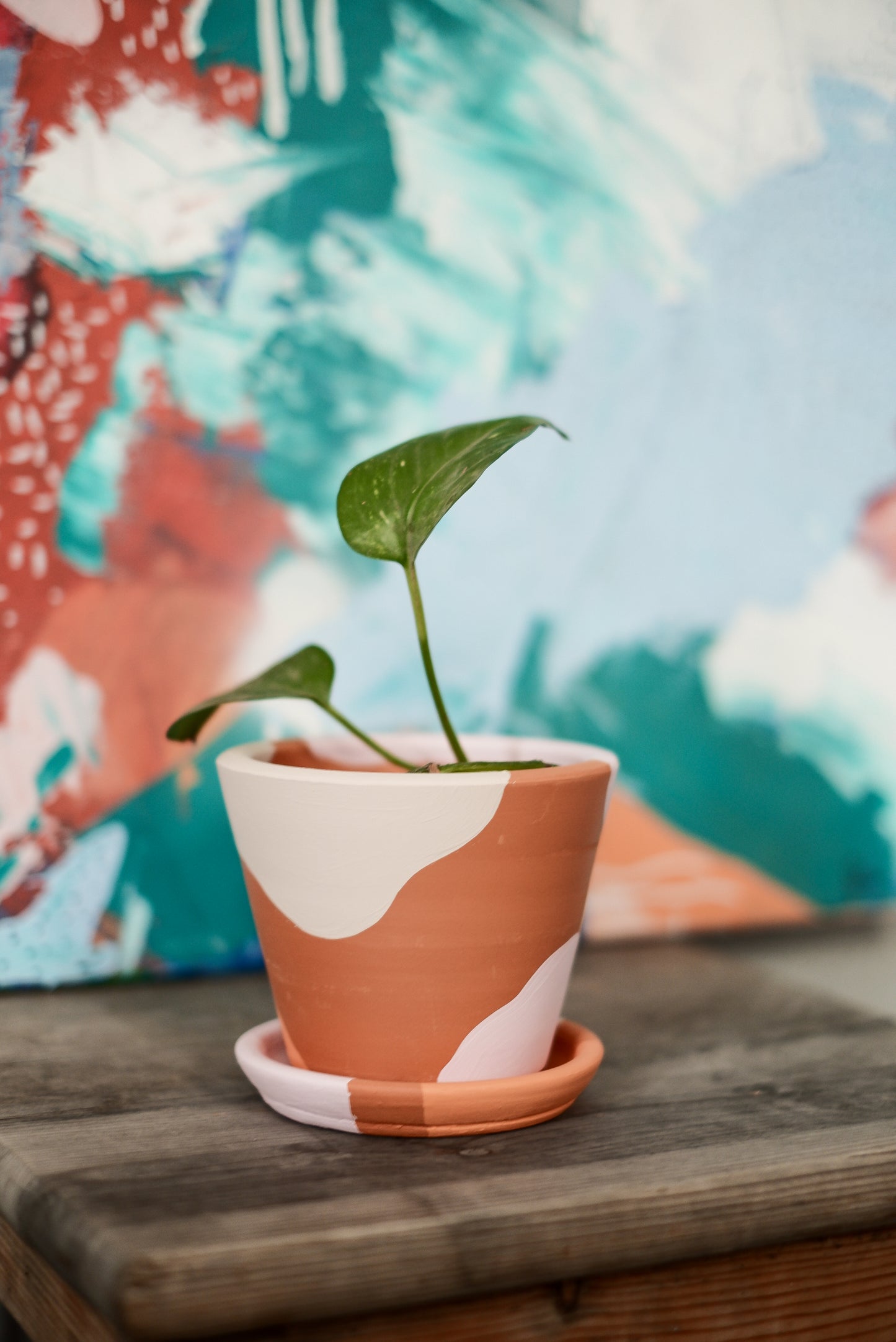 Terracotta Savana Saksı+Tabak • Pembe Beyaz