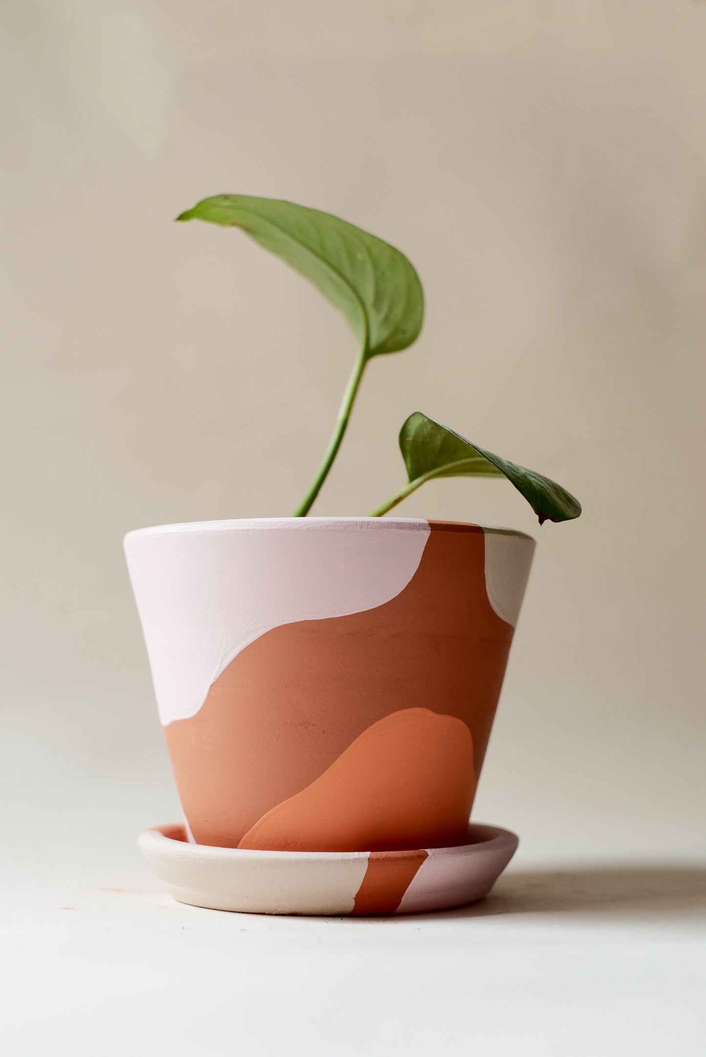 Terracotta Savana Saksı+Tabak • Pembe Beyaz