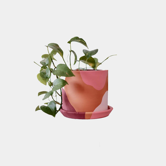 Terrakotta-Zylinder-Blumentopf + Teller • Rosatöne