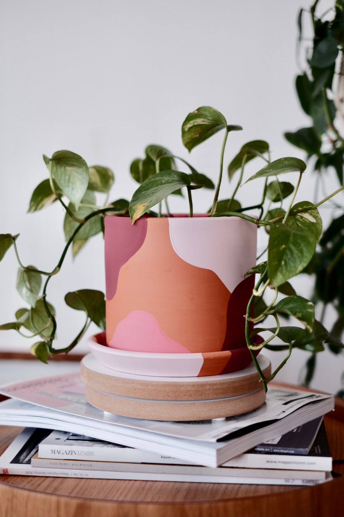 Terracotta Silindir Saksı+Tabak • Pembenin Tonları