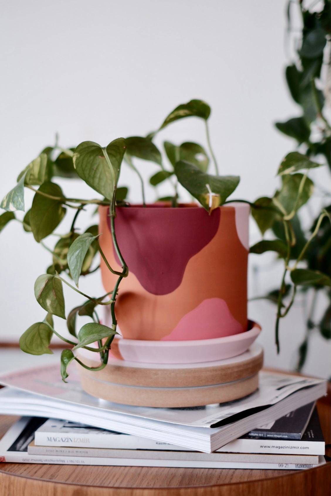 Terracotta Silindir Saksı+Tabak • Pembenin Tonları