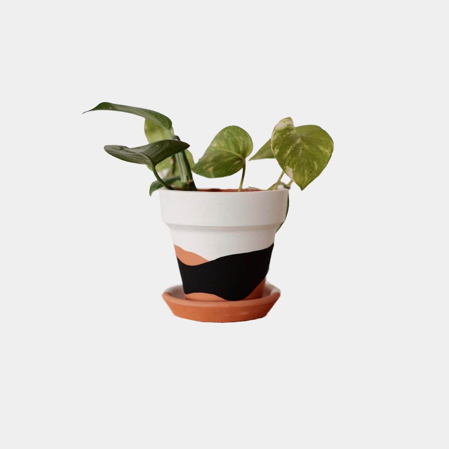 Terracotta Konik Saksı+Tabak • Siyah Beyaz Waves