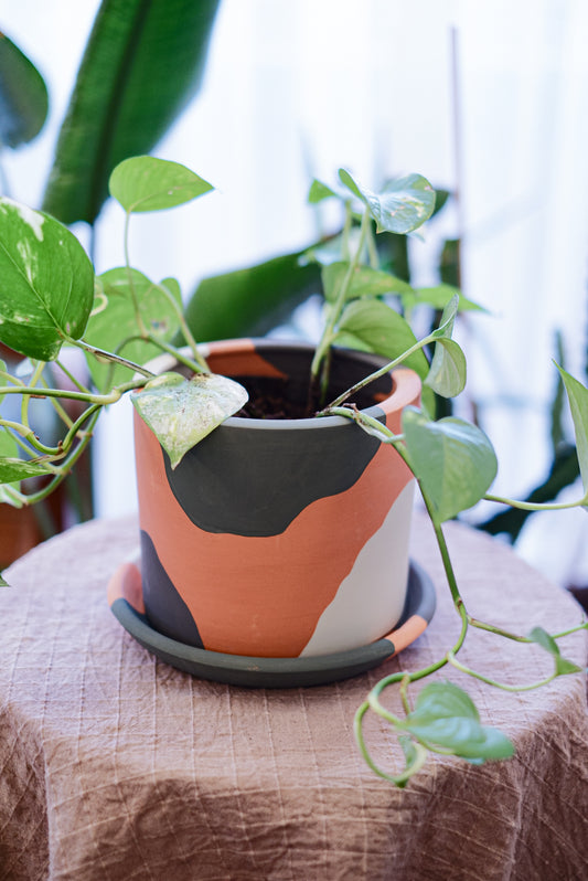 Terracotta Silindir Saksı+Tabak • Yeşilin Tonları