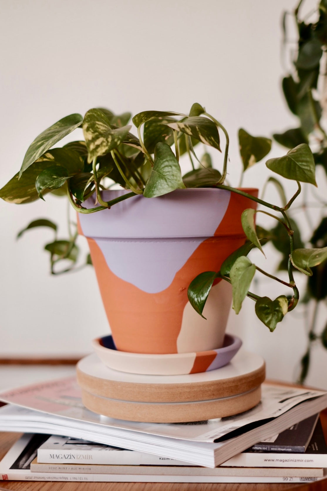 Terracotta Konik Saksı+Tabak • Lilanın Tonları