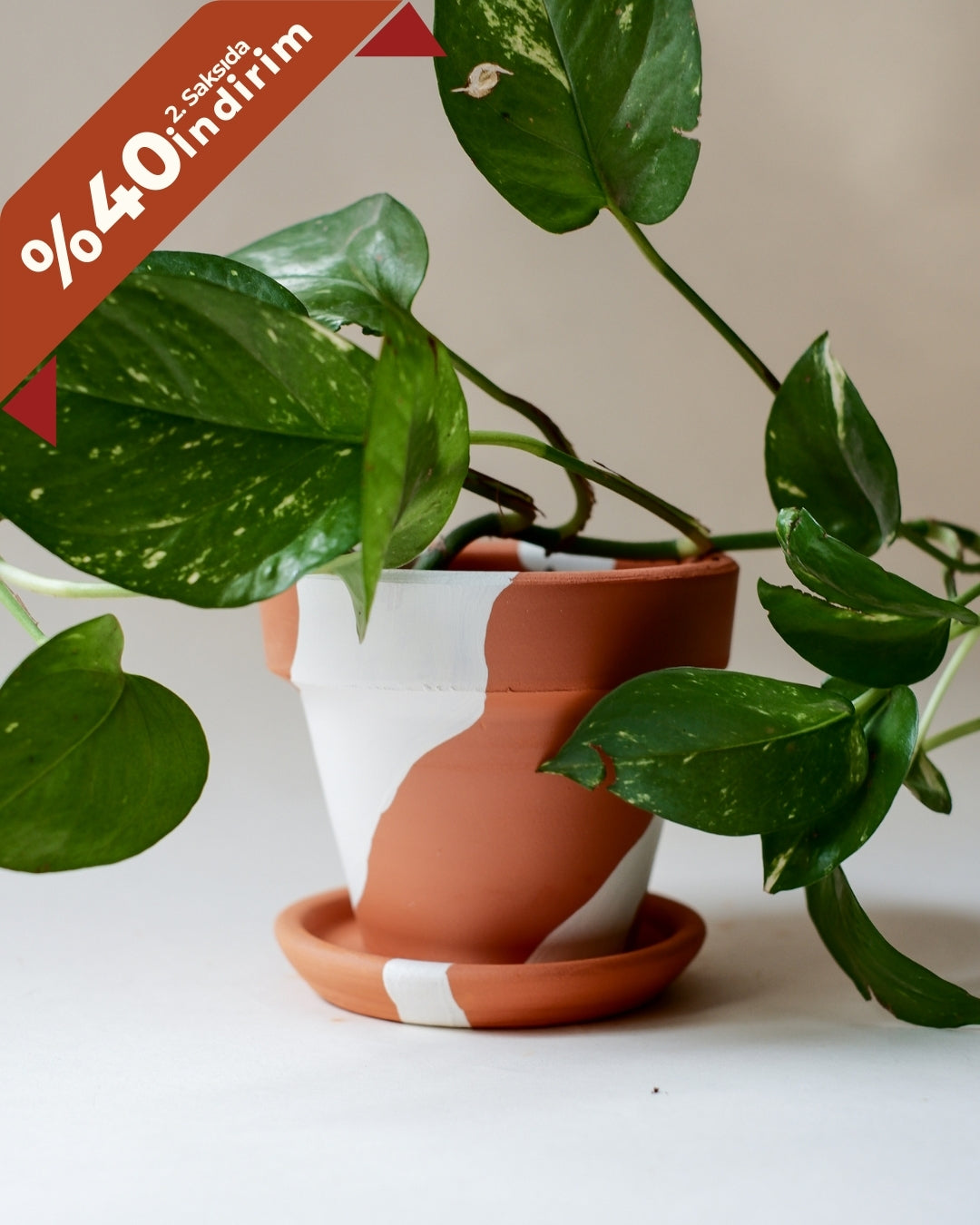 Terracotta Konik Saksı+Tabak • Bohem Beyaz