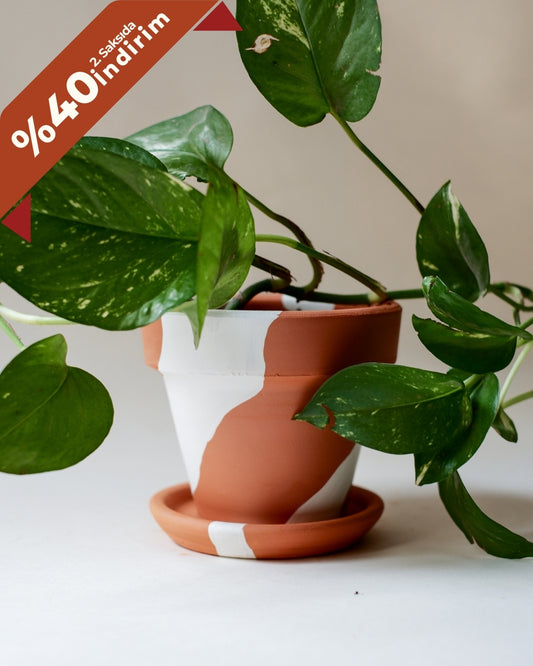 Konischer Terrakotta-Blumentopf + Teller • Bohemian White