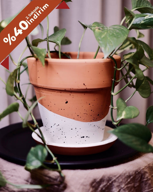 Konischer Blumentopf + Teller aus Terrakotta • Schwarz-Weiß gepunktet