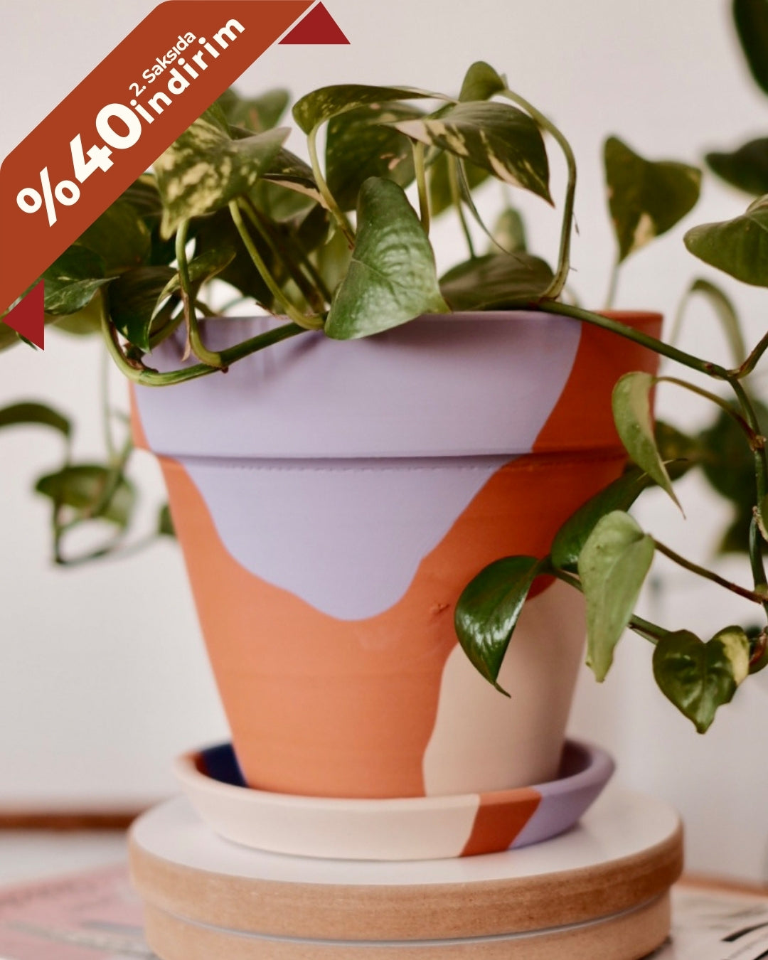Terracotta Konik Saksı+Tabak • Lilanın Tonları
