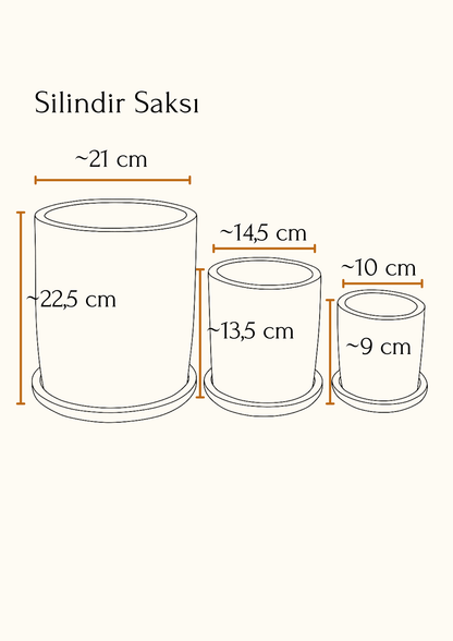 Terracotta Silindir Saksı+Tabak • Bordo Beyaz