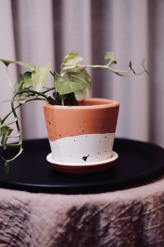 Terrakotta Savana Blumentopf+Teller • Schwarz-Weiß gepunktet