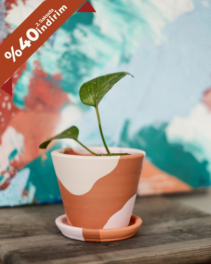 Terracotta Savana Saksı+Tabak • Pembe Beyaz
