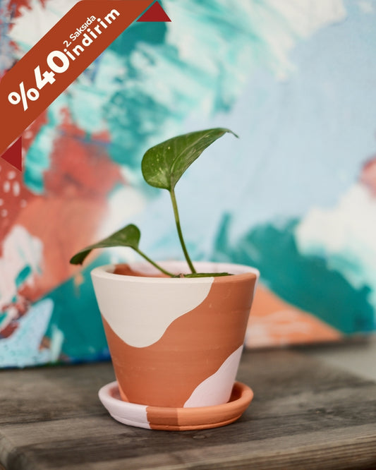 Terrakotta Savana Blumentopf+Teller • Rosa Weiß