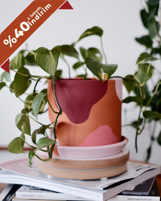 Terracotta Silindir Saksı+Tabak • Pembenin Tonları