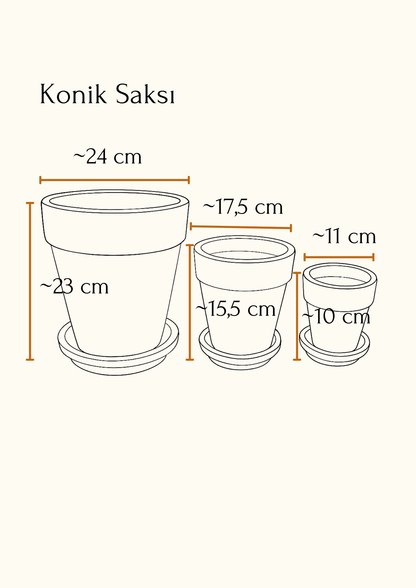 Terracotta Konik Saksı+Tabak • Waves