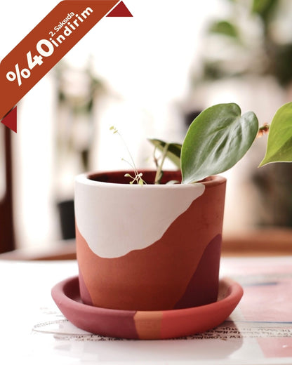Terracotta Silindir Saksı+Tabak • Bordo Beyaz