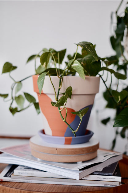 Terracotta Konik Saksı+Tabak • Lilanın Tonları