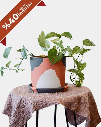 Terrakotta-Zylinder-Blumentopf + Teller • Grüntöne