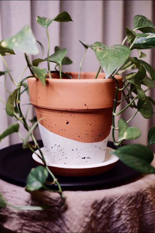 Terracotta Konik Saksı+Tabak • Siyah Beyaz Benekli