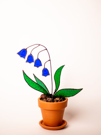 Bluebell – Vitray Çiçek